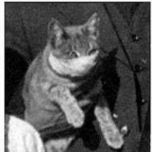 Meet your Posher, Kevin